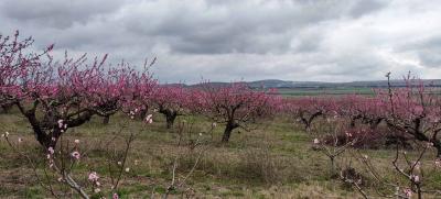 Прикрепленное изображение: IMG_20230408_151603.jpg